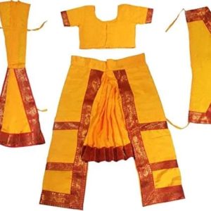 Bharatnatyam dress