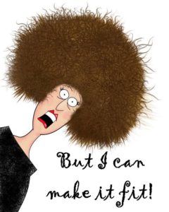 Fancy Wigs
